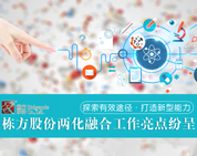 探索有效途徑，打造新型能力——棟方股份兩化融合工作亮點(diǎn)紛呈